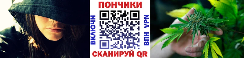 Где купить Гатчина Alpha PVP  БУТИРАТ  ТГК  ГАШ  Cocaine 