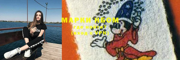 прущие грибы Балабаново