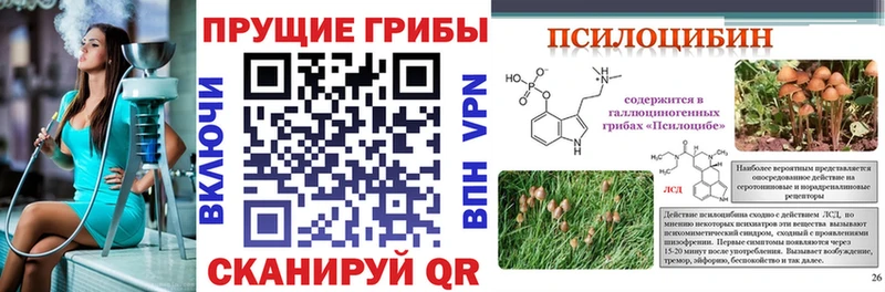 Галлюциногенные грибы мухоморы  дарк нет клад  Гатчина 